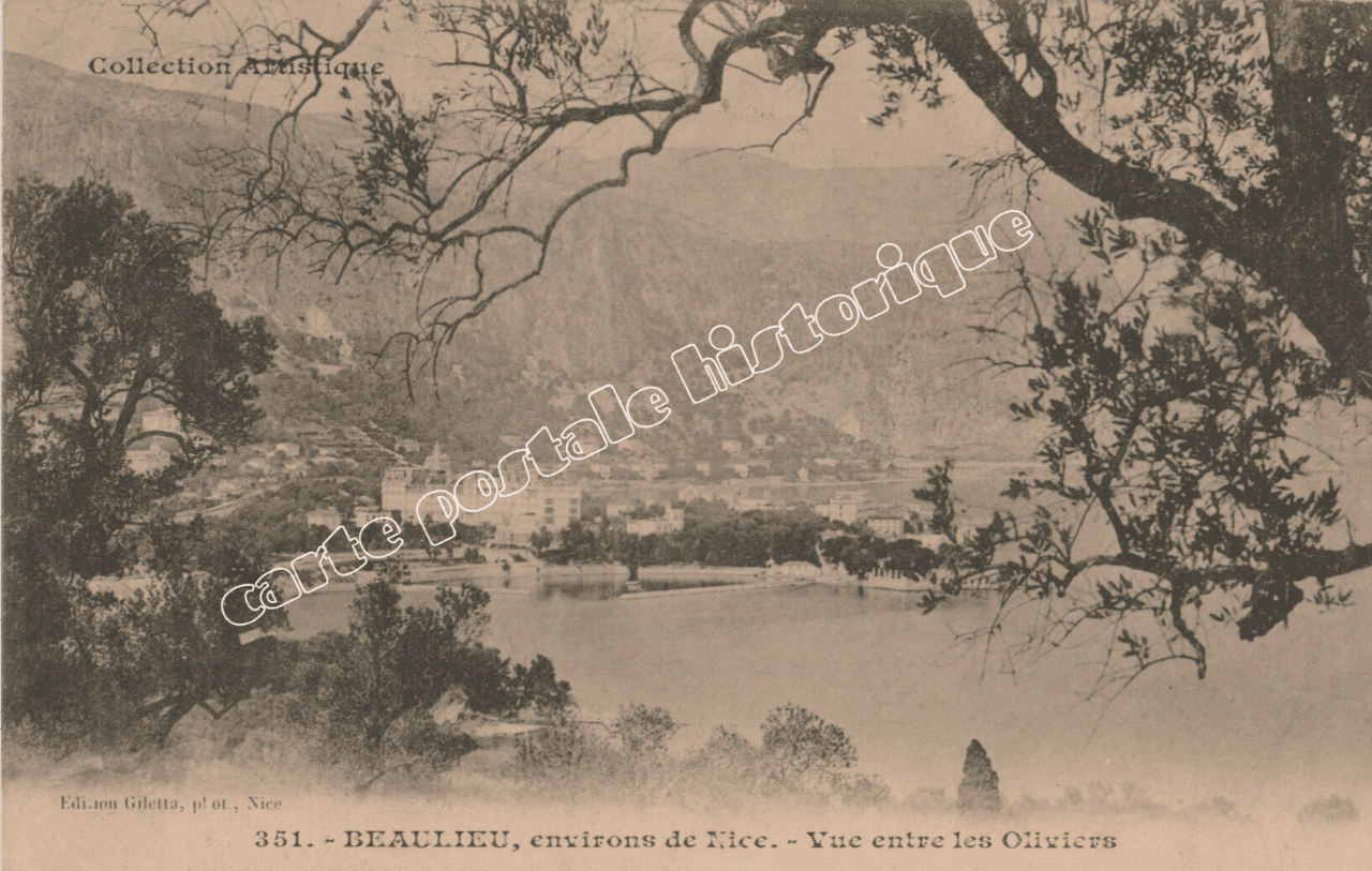 BEAULIEU - Environs de NICE - Vue entre les Oliviers - 1906