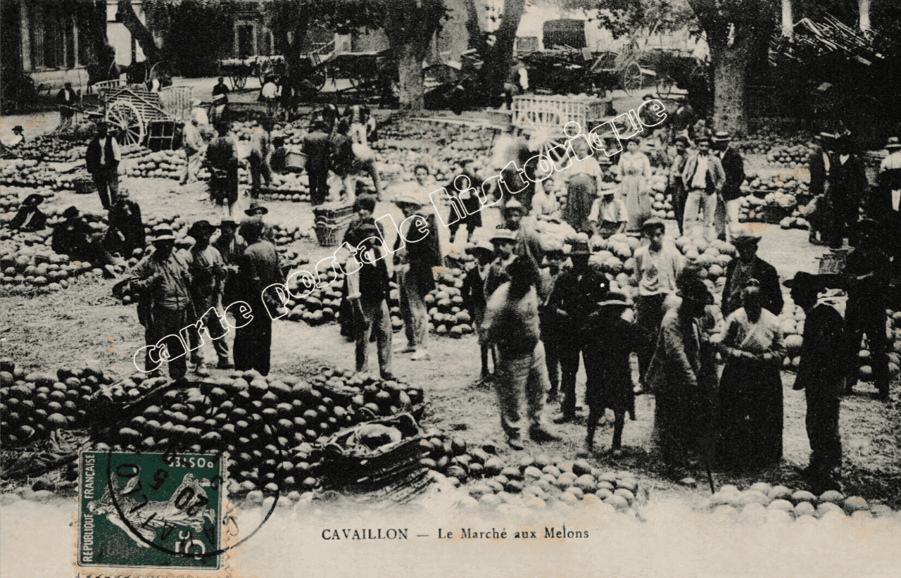 CAVAILLON - Le Marché aux Melons - 1909