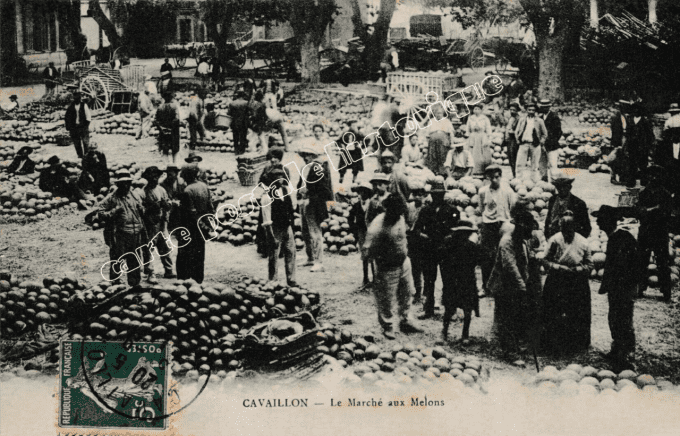 CAVAILLON - Le Marché aux Melons - 1909