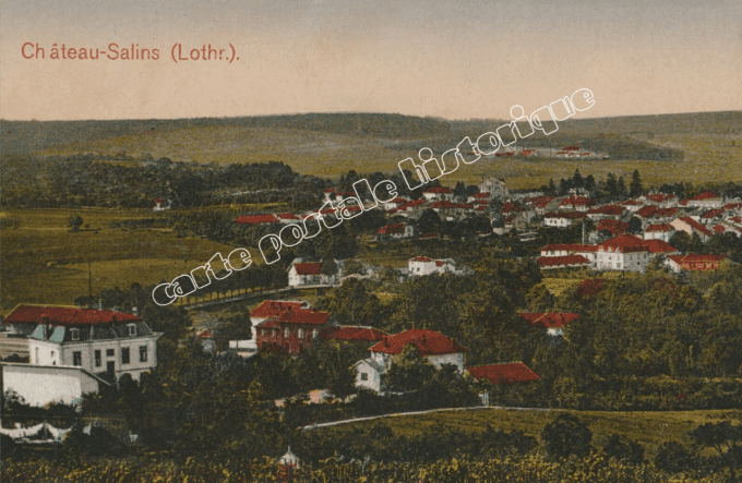 CHATEAU-SALINS - Vue d'Ensemble - 1919
