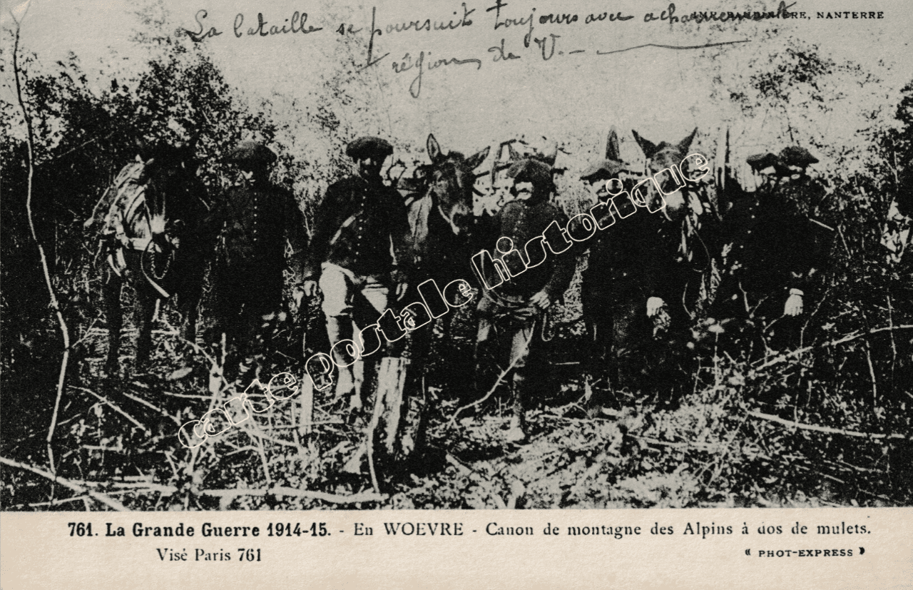 En Woevre - Canon de montagne des Alpins à dos de mulets - 1916